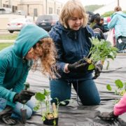 Nurturing the Roots of Healthful Eating Habits